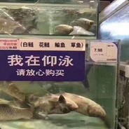 给你一脚尖