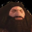 hagrid crakudo