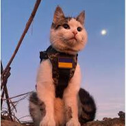 ♕бoӤoᏰūи ₭і†♟