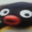 Noot Noot