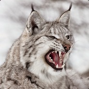 Ilves - steam id 76561197963193883