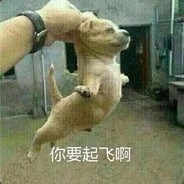 号主有柏林套