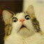 Ostuda_Tom $)