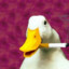 SmoKingDuck