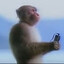 [Holtyx]monkey
