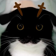 Nikan