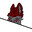 Altacnt avatar