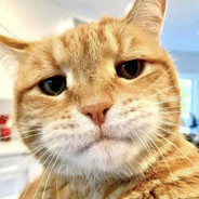 九年义务教育漏网之鱼