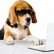 sebaSb0b (srs gamer)