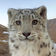 戴上耳机弹吉把