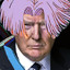 Donald TrunKs