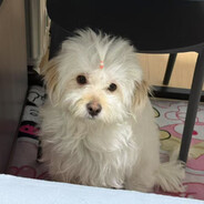 那你能帮帮我吗