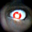 Rayn_zsk