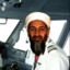 osama bin jizzin