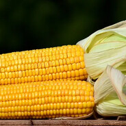 sut3m11