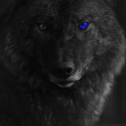 BlackWolf - steam id 76561199160618119