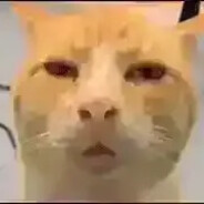 胡德路—球头设计师