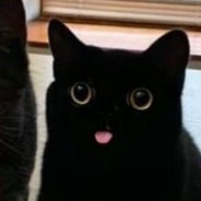 SmolTimi