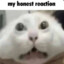 Glolik