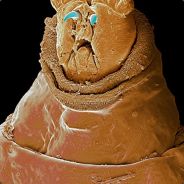 PNTS - steam id 76561197961787333