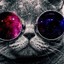 Gata`Cu`Joaca