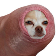 DickSpeed - steam id 76561198872157272