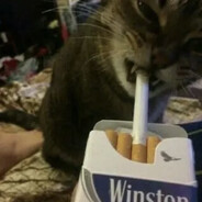 Avatar of Smoking Cat.