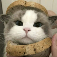 团灭甩锅 灭队自责