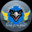 BlueHawk