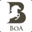 BoA.$H@DoW™