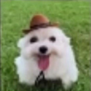 Nishkilledhimselfinthelake