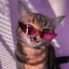Enby Bussy