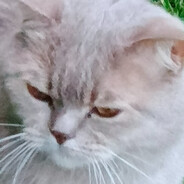 Dgeujwujrgyuww avatar