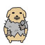 Avatar of BSH
