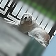 kamiliio