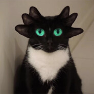 第五季的永生花