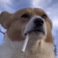 Ukrobanderik's avatar