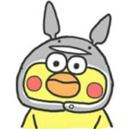 飞扬