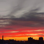 花园宝宝胡英俊