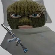 假如我年少有为