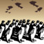 swarm of penguins