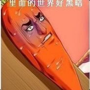 诚信机长-萝卜卜卜