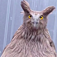 Rolandskvadet's avatar