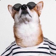 原来你是神仙呀