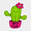Hella Cute Cactus