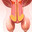 Suce_La_Boule