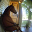 horseman