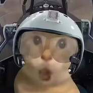 猫儿这个壮志凌云