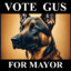 gus for mayor