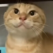 厨王争霸选手甲